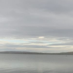 Meet your Posher, Edith